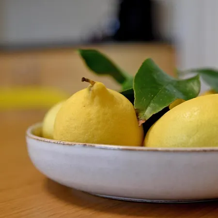 Kumquat Grove
