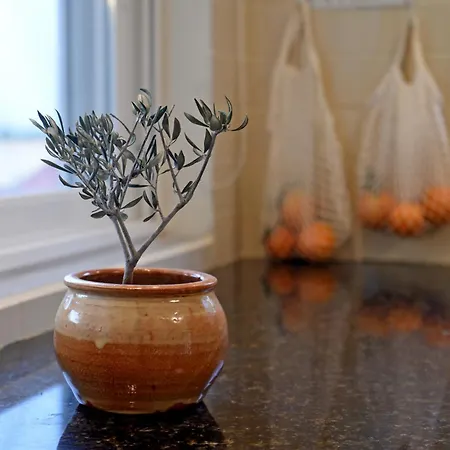 Kumquat Grove