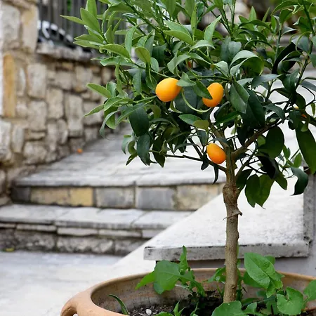 Casa de Férias Kumquat Grove Corfu (city)